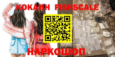 шишки Новодвинск
