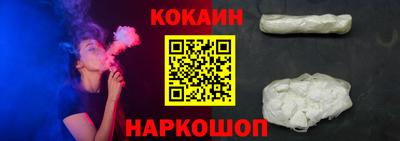 шишки Новодвинск