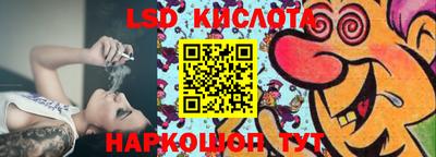 шишки Новодвинск