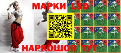 шишки Новодвинск