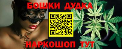 шишки Новодвинск