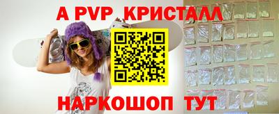 шишки Новодвинск