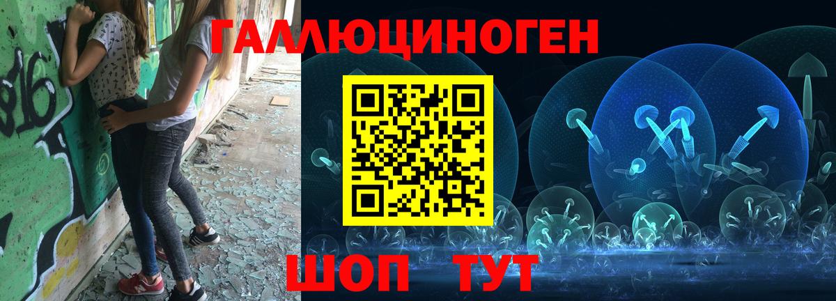Псилоцибиновые грибы мицелий  Вход с VPN  Сунжа 