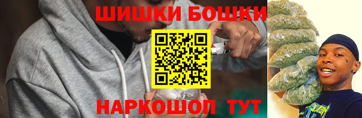 Каннабис сатива Сунжа